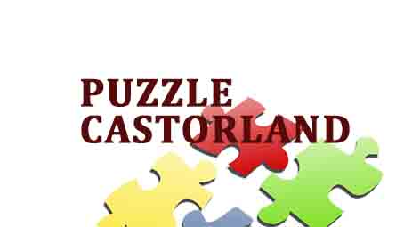 PUZZLE Polskie Castorland